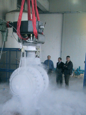 Cryogenic Floating valve