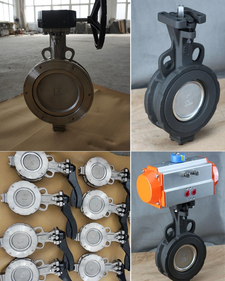 HIGH PERFORMANCE BUTTERFLY VALVE