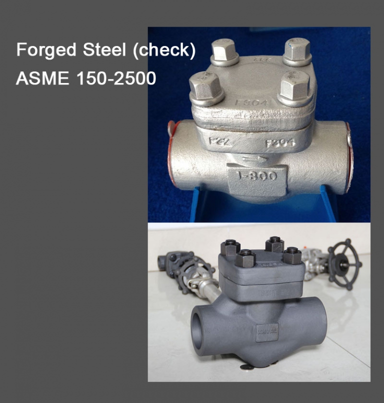 forged steel check valve