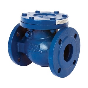 flanged check valve