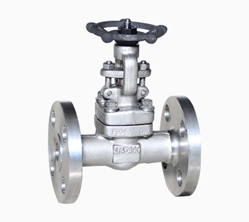 forged steel gate valve