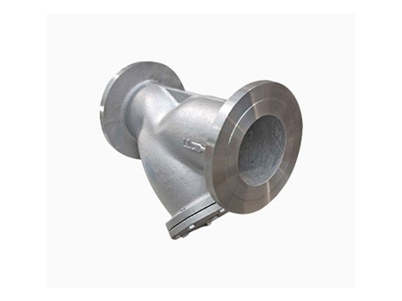 A Y type strainer