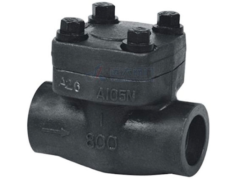 Forged steel check valve