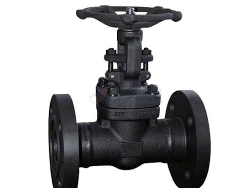 Forged steel gate valve