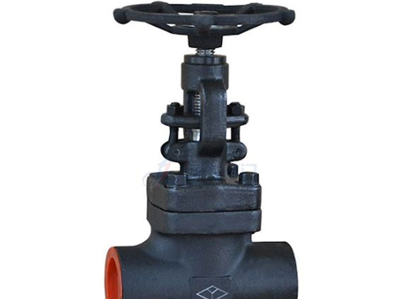 Forged steel globe valve 800